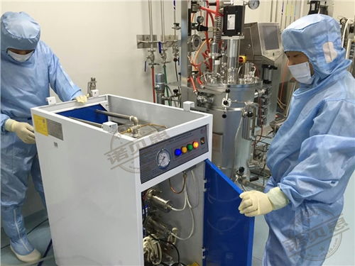 生物制藥廠中蒸汽輔助川貝枇杷膏生產的生物技術開發路徑