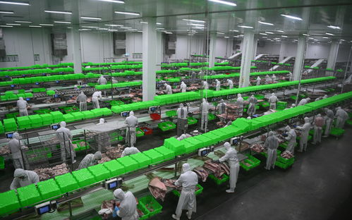 內鄉牧原食品城正式投入運行 一期投資5億元，年屠宰加工200萬頭生豬，推動生物技術開發