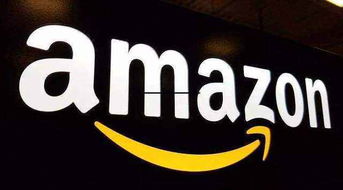 月入十萬的亞馬遜無貨源店群不限制商品類目上貨erp定制貼牌,模式一比一復(fù)制