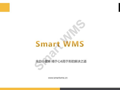 ppt分享 眼鏡行業(yè) 智慧倉(cāng)儲(chǔ)管理解決方案